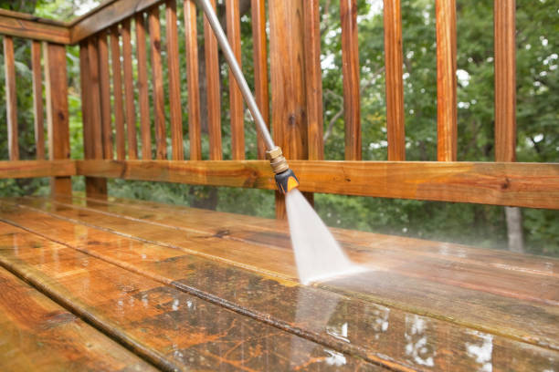 Best Fence Cleaning  in Monona, IA